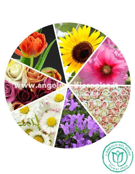 MISTERY FLOWERS