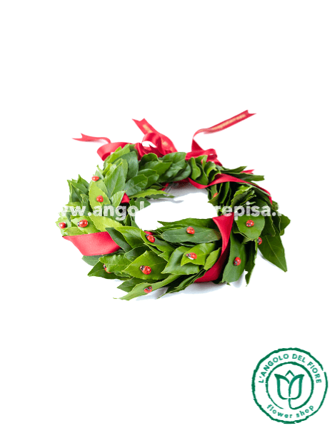 Corona di laurea con coccinelle