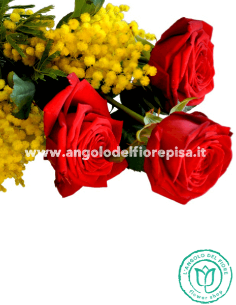 3 Rose rosse con mimosa
