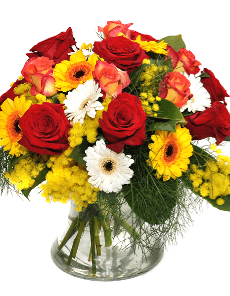 Bouquet rose e gerbere miste con mimosa