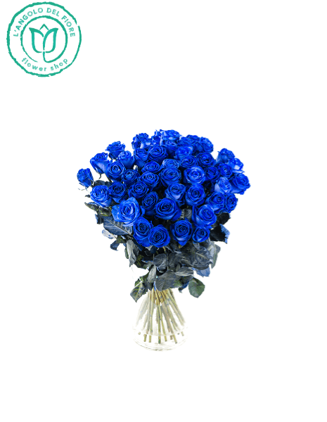 ROSE BLU ELEGANCE SUPREME